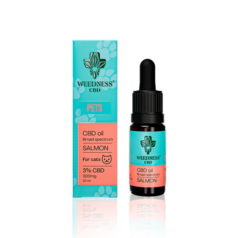 Buy CBD Oil for Cats